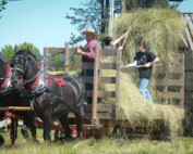Yamhill County Historical Society Hay Day Demo